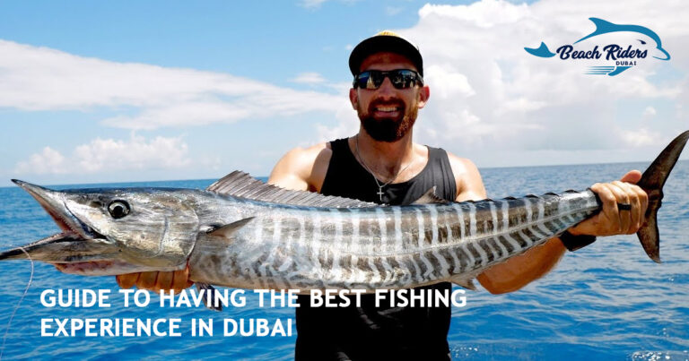 Guide to Having the Best Fishing Experience in Dubai Guide to Having the Best Fishing Experience in Dubai