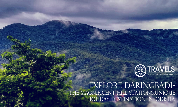 Explore Daringbadi- The Magnificent Hill Station&Unique Holiday Destination In Odisha Explore Daringbadi- The Magnificent Hill Station&Unique Holiday Destination In Odisha