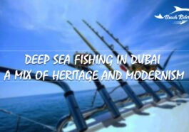 Deep Sea Fishing In Dubai