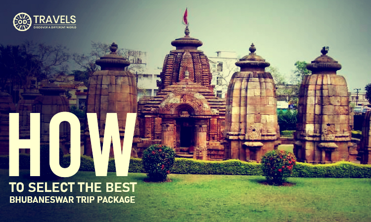 How To Select The Best Bhubaneswar Trip Package How To Select The Best Bhubaneswar Trip Package