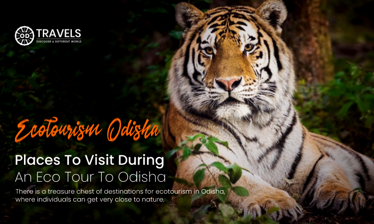 Places to Visit during an Eco Tour to Odisha Places to Visit during an Eco Tour to Odisha