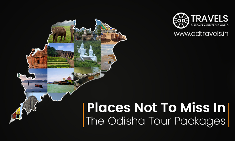 Places Not To Miss In The Odisha Tour Packages Places Not To Miss In The Odisha Tour Packages