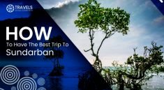 sundarban tour booking