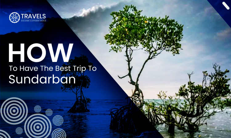 How to Have the Best Trip to Sundarban