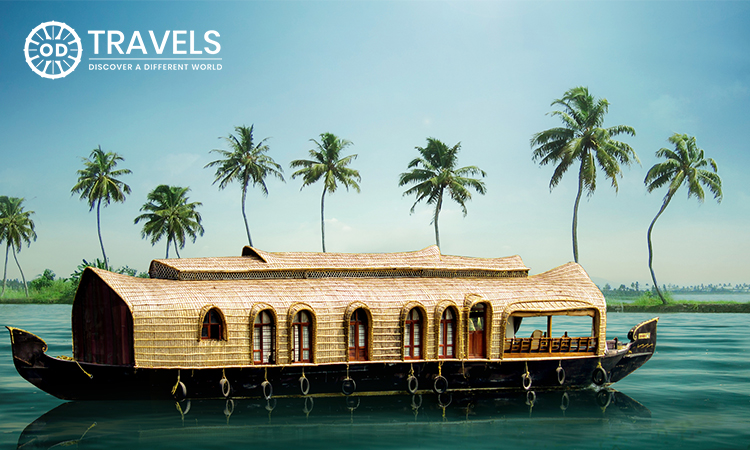 Why Depend On Reputed Tour Operators to Have the Best Vacation in Kerala Why Depend On Reputed Tour Operators to Have the Best Vacation in Kerala