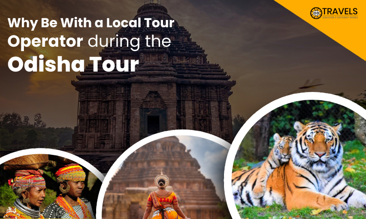 Why Be With a Local Tour Operator during the Odisha Tour Why Be With a Local Tour Operator during the Odisha Tour