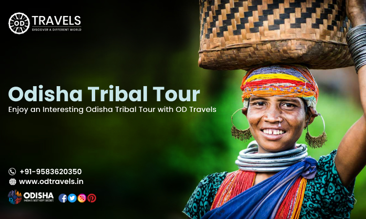 Enjoy an Interesting Odisha Tribal Tour with OD Travels