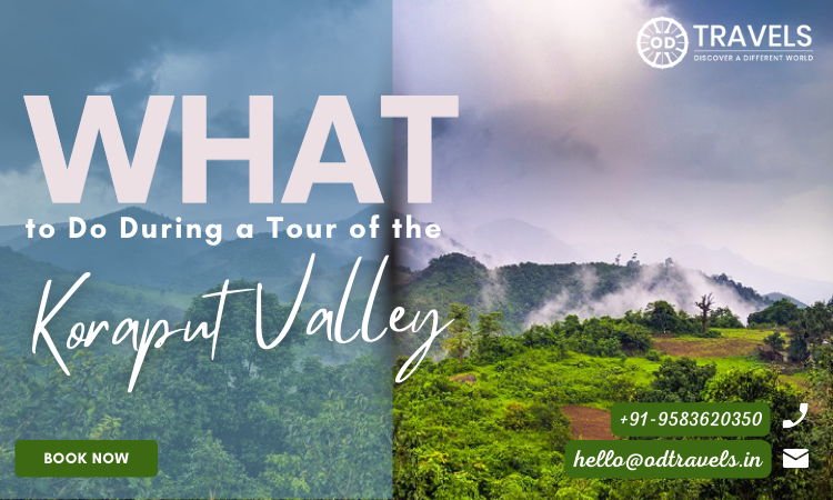 What to Do During a Tour of the Koraput Valley