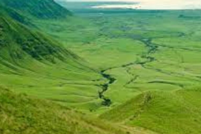 Embarking on an Expedition: Drunken Elephant Mara and the Marvels of the Great Rift Valley