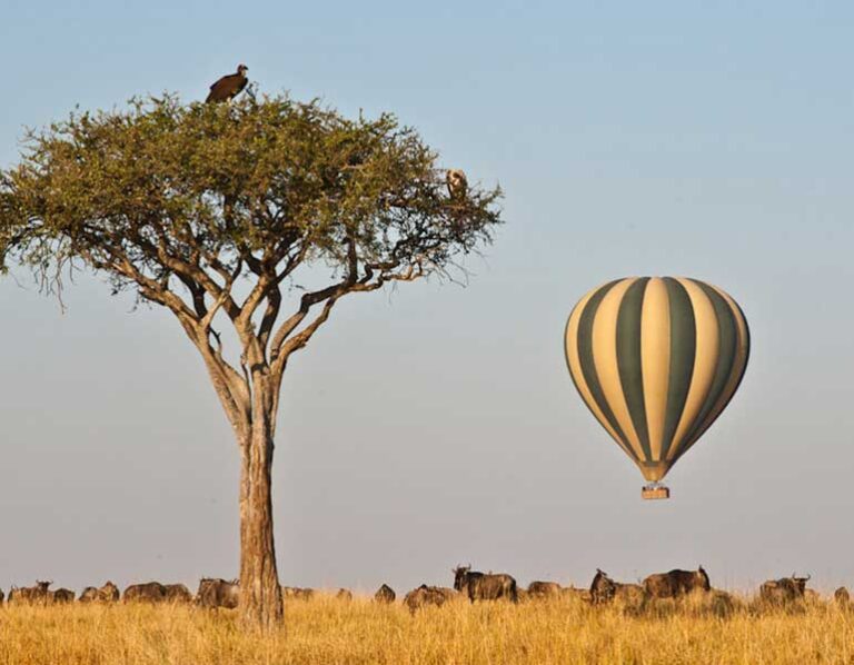 Suspended Splendor: Hot Air Ballooning Over Masai Mara’s Wonders