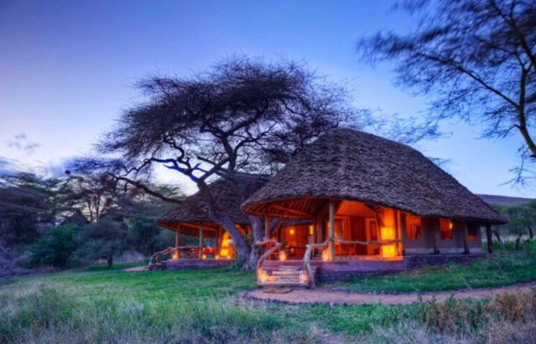 Why To Stay At A Safari Lodge During a Budget Safari?