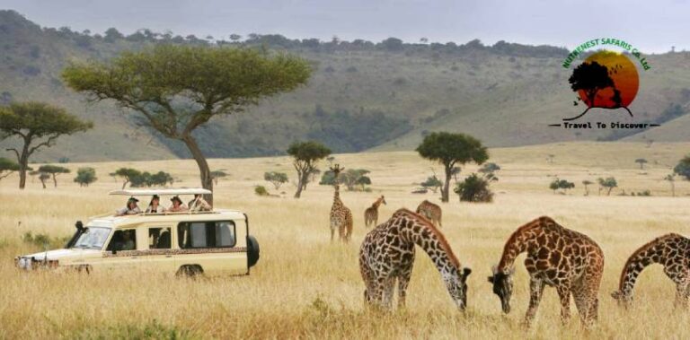 Uganda Safaris: Your Comprehensive Guide to a Thrilling Adventure Uganda Safaris: Your Comprehensive Guide to a Thrilling Adventure