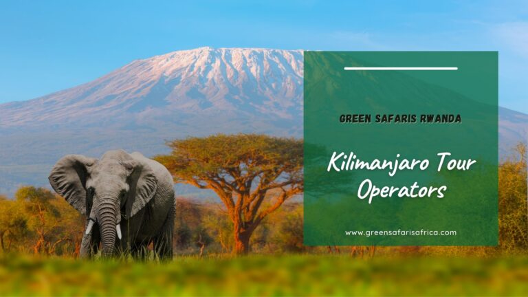 Explore Mount Kilimanjaro with Top Kilimanjaro Tour Operators