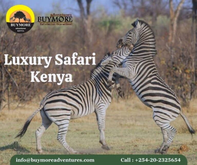 Kenya Luxury Safari: Accomplish Your Travel Dream with BuyMore Adventures Kenya Luxury Safari: Accomplish Your Travel Dream with BuyMore Adventures