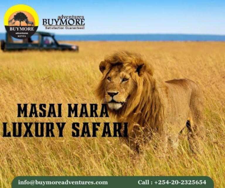 From Sunrise to Sunset: A Day on a Masai Mara Safari