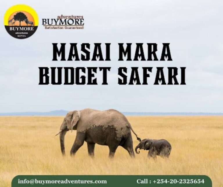 How To Plan A Quality Masai Mara Migration Safari On A Budget