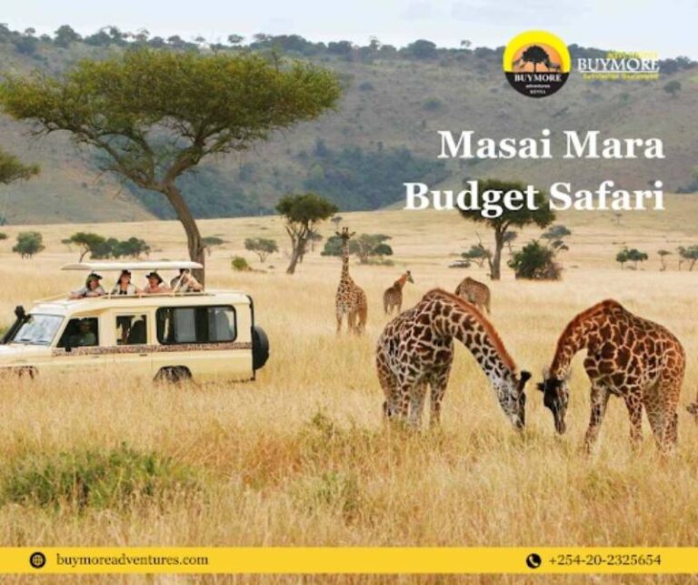 Why Masai Mara Is A Bucket List Travel Destination For People On Budget Why Masai Mara Is A Bucket List Travel Destination For People On Budget