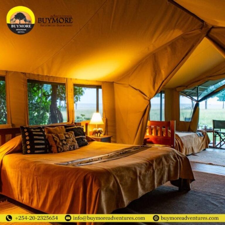 How Does a Kenya Luxury Safari Offer a Lifetime Journey?