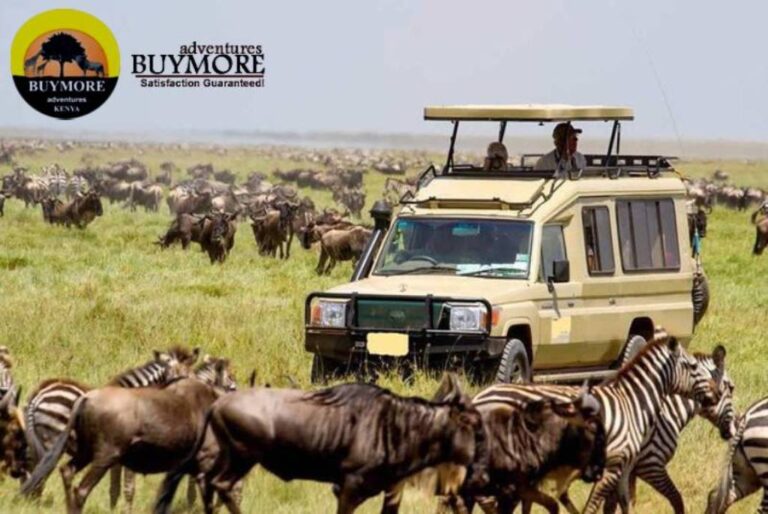 What You Can Do On Your Luxury Safaris in Kenya