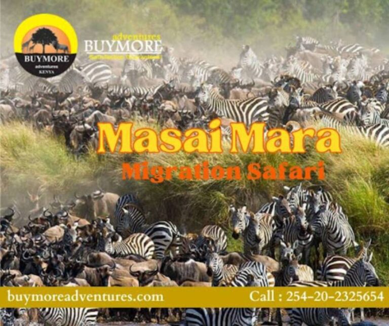 The Mara River Crossing: A Highlight of the Great Migration