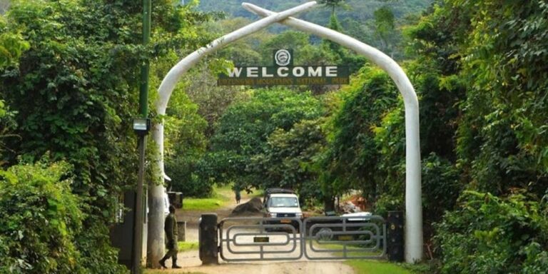 Udzungwa Mountains National Park: Top Adventures to Experience in 2025 Udzungwa Mountains National Park: Top Adventures to Experience in 2025