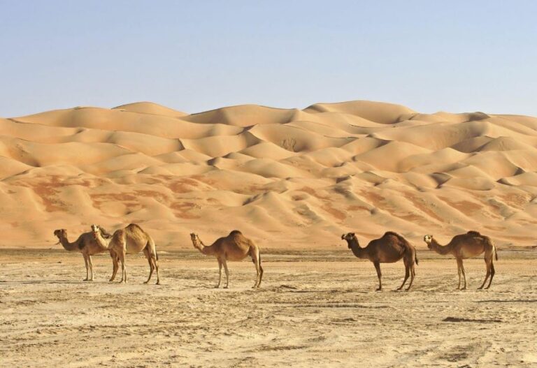 Esplora il fascino dell’Oman con un tour tra cultura e spiagge spettacolari Esplora il fascino dell’Oman con un tour tra cultura e spiagge spettacolari