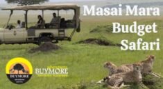 Affordable Masai Mara Budget Safari