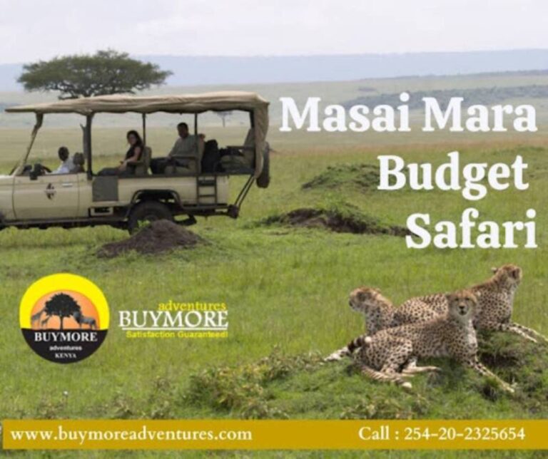 Affordable Masai Mara Safari: Adventure on a Budget Affordable Masai Mara Safari: Adventure on a Budget