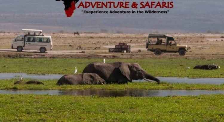 Kenya Safaris