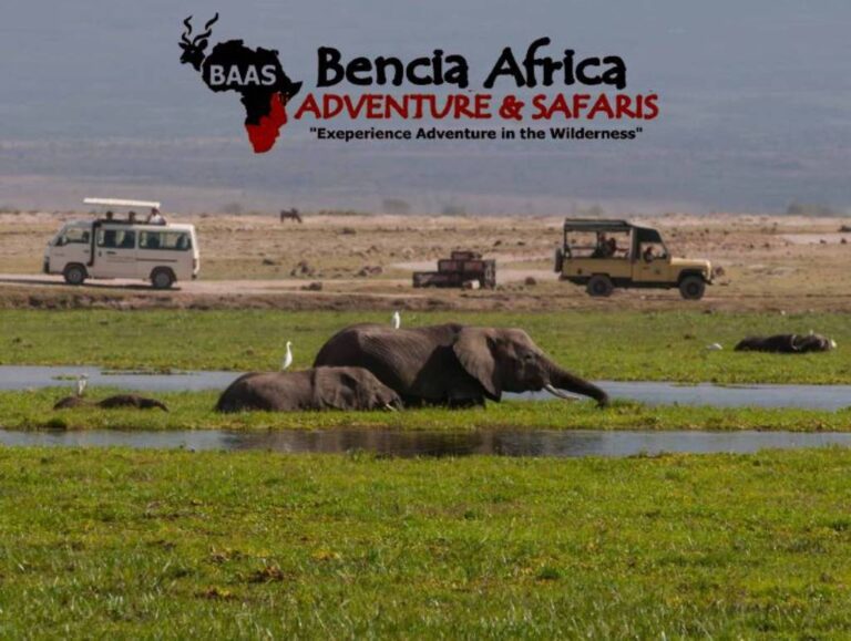 Exploring Amboseli: Wildlife Safari and Mt. Kilimanjaro Views