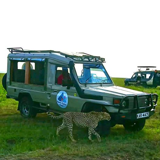 Discover Kenya’s Hidden Gems: Unique Safari Experiences Beyond the Crowds