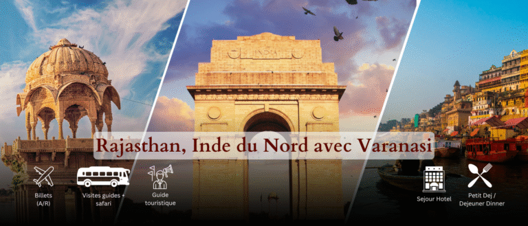 Voyage en Inde du Sud : Culture, Nature et Traditions Inoubliables