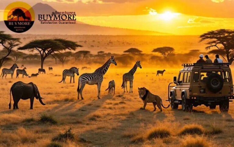 What to Expect on a Luxury Safari in Kenya What to Expect on a Luxury Safari in Kenya