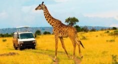Masai Mara Big Five Safaris
