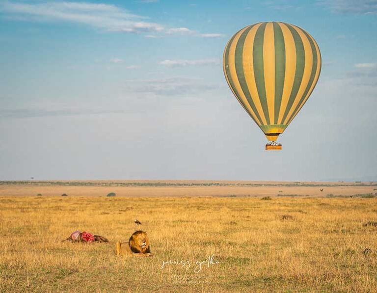 Discover Masai Mara from the Sky on a Hot Air Balloon Ride Discover Masai Mara from the Sky on a Hot Air Balloon Ride