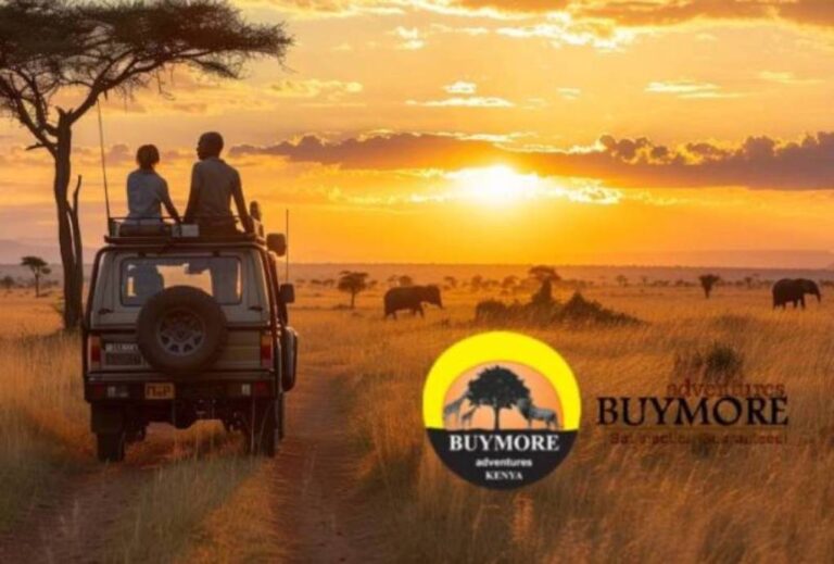 What are the Top Kenya Camping Locations for Stargazing and Wildlife Encounters? What are the Top Kenya Camping Locations for Stargazing and Wildlife Encounters?