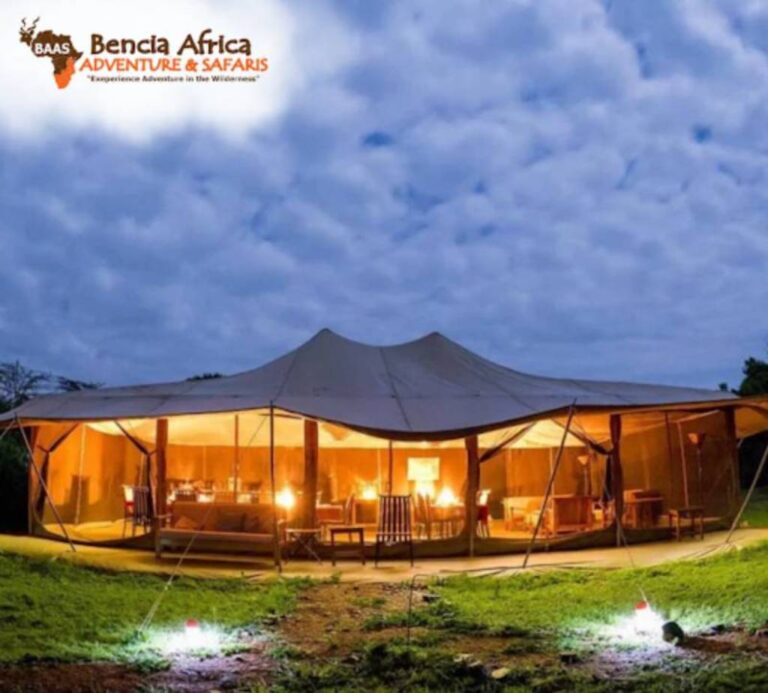 What to Expectations from a Luxury Lodge Safari in Masai Mara What to Expectations from a Luxury Lodge Safari in Masai Mara
