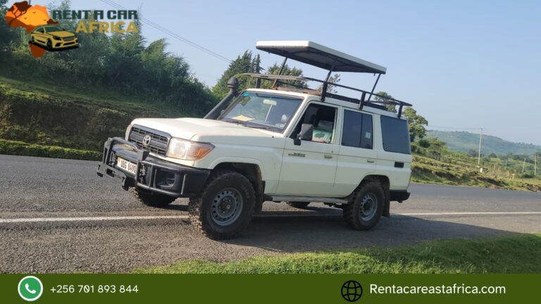 Explore Tanzania Stress-Free: Top Benefits of Renting a Car with a Driver Explore Tanzania Stress-Free: Top Benefits of Renting a Car with a Driver