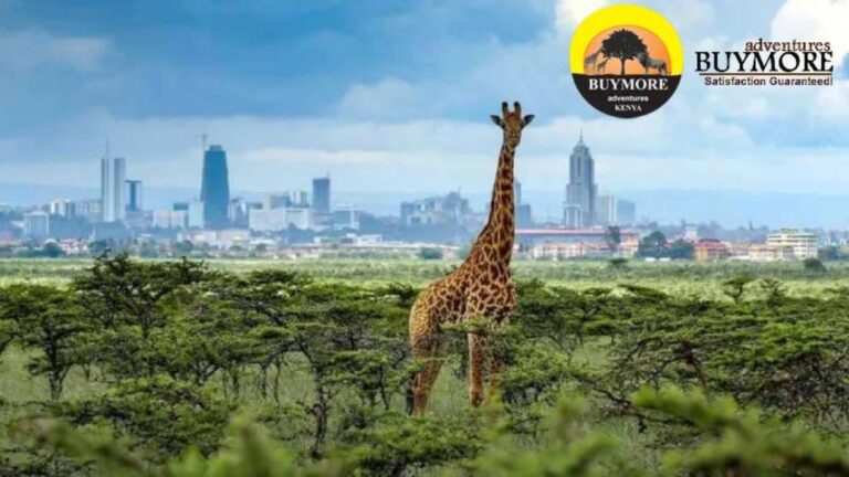 What Makes Nairobi an Ideal Stopover for a Swift Safari Adventure?