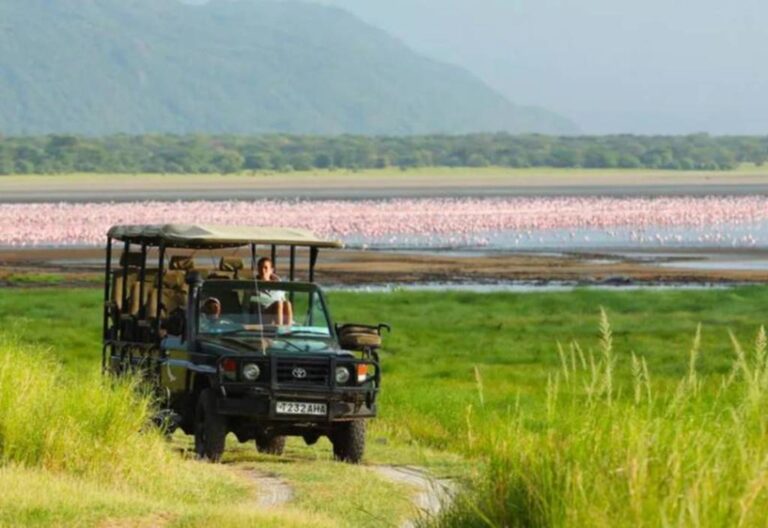 What are the Best National Parks in Tanzania for First-Time Safari Goers?