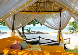 East Africa Safari & Coast