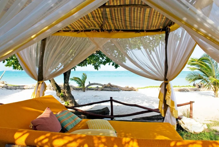 Discover the Wild & Waves: The Ultimate East Africa Safari and Coastal Escape