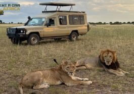 Self Drive Car Rental Tanzania