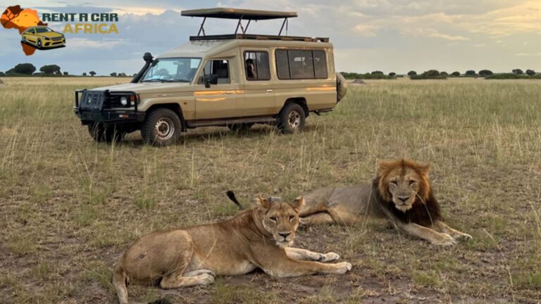 Tanzania Travel Showdown: Self-Drive Safari vs. Guided Experience