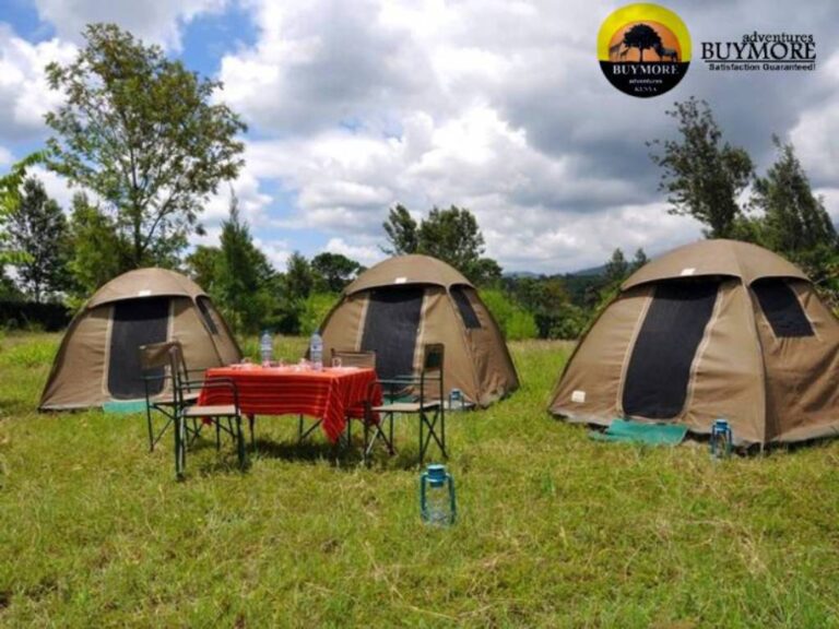 Why Choose Kenya Camping Tours for the Ultimate Safari Experience?