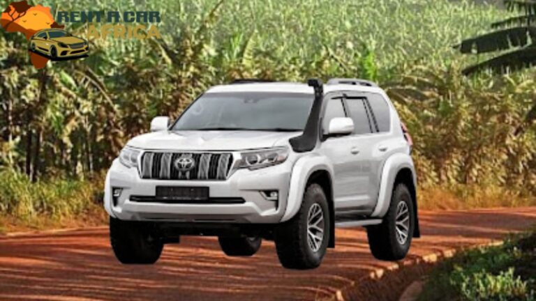The Ultimate Safari Experience: Why Self-Drive Car Hire Is a Game-Changer The Ultimate Safari Experience: Why Self-Drive Car Hire Is a Game-Changer