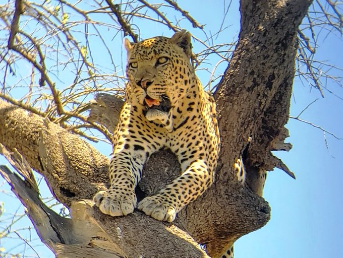 Kenya Vacation: The Perfect Blend of Romance, Adventure, and Family Fun Kenya Vacation: The Perfect Blend of Romance, Adventure, and Family Fun