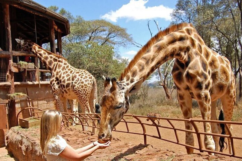 Nairobi Excursions