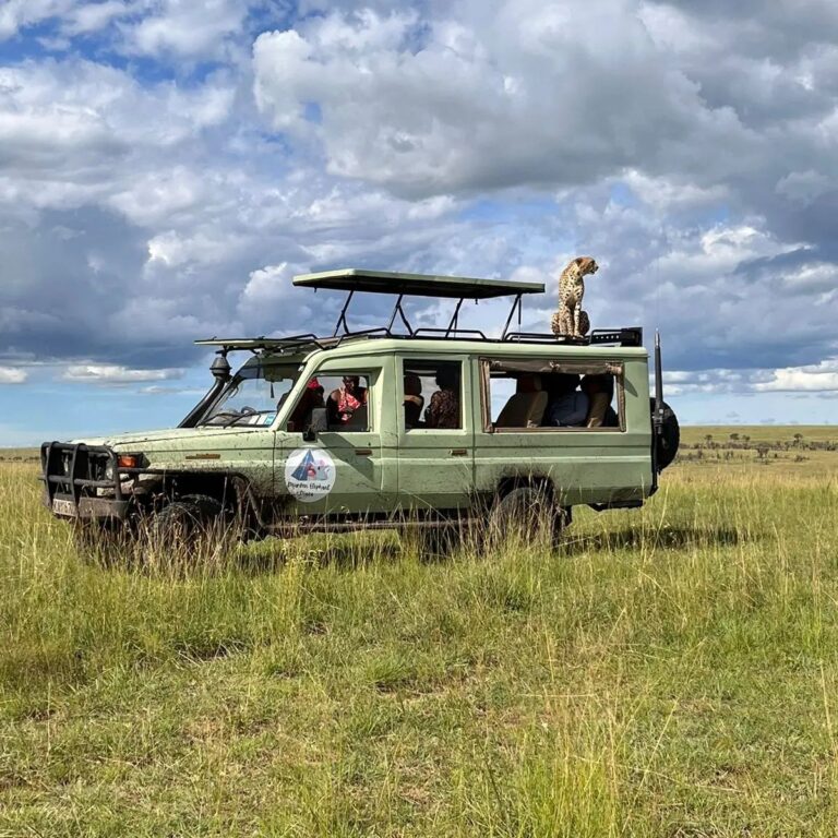 The Ultimate Safari Experience: What to Expect on a Safari Game Drive in Masai Mara The Ultimate Safari Experience: What to Expect on a Safari Game Drive in Masai Mara